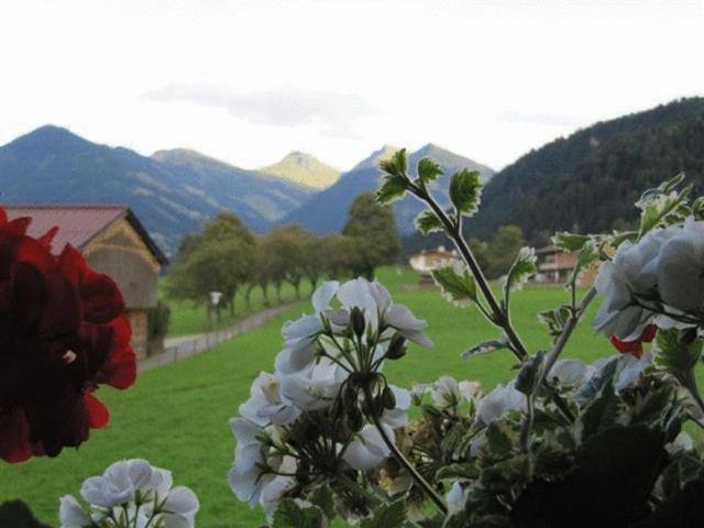 Haus Friedl Hotel Kitzbühel Kültér fotó